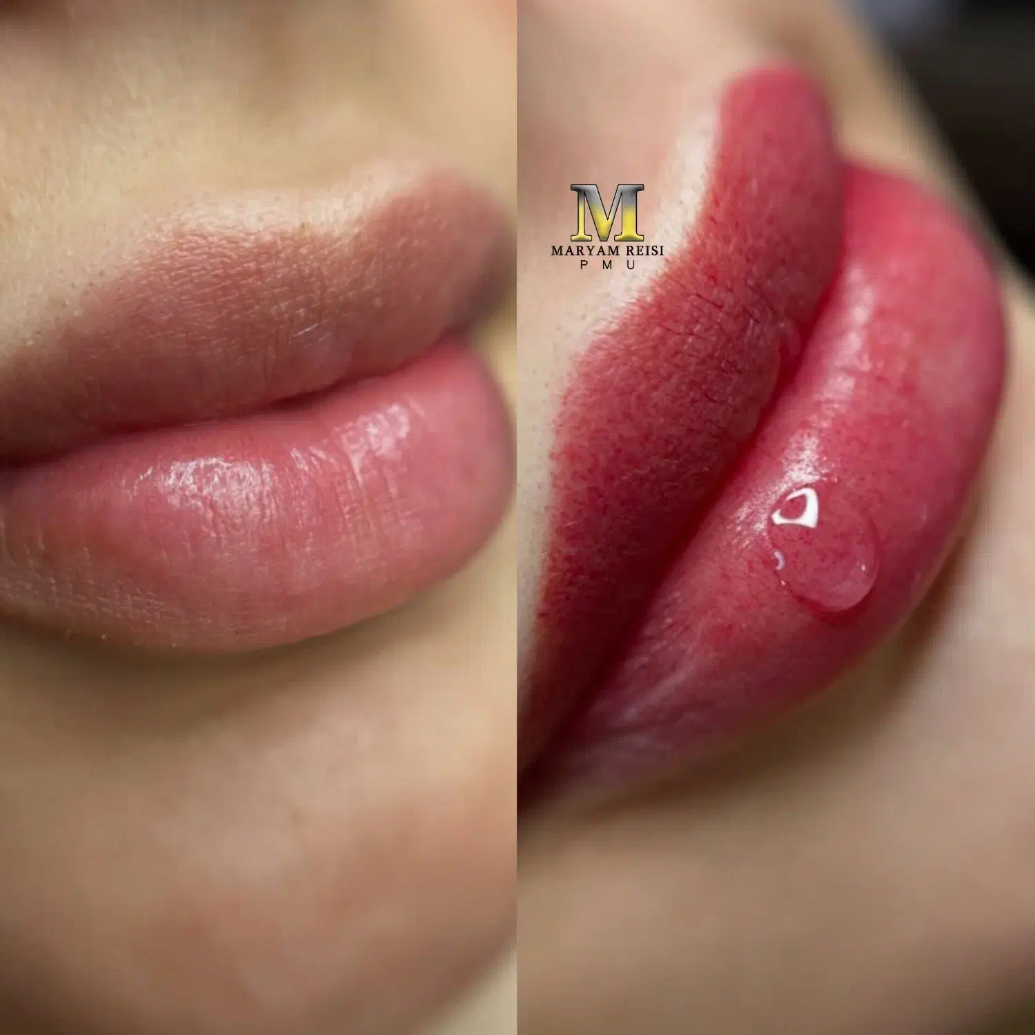 شیدینگ لب فیبروز بنمژه|خدمات آرایشگری و زیبایی|شیراز, معالیآباد|دیوار