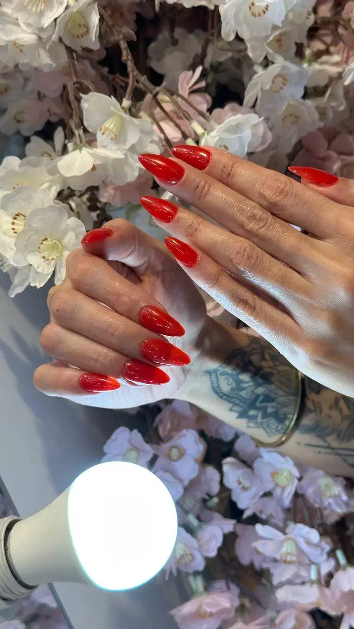 ناخن ۲۵۰ تومن|خدمات آرایشگری و زیبایی|رشت, دیلمان|دیوار