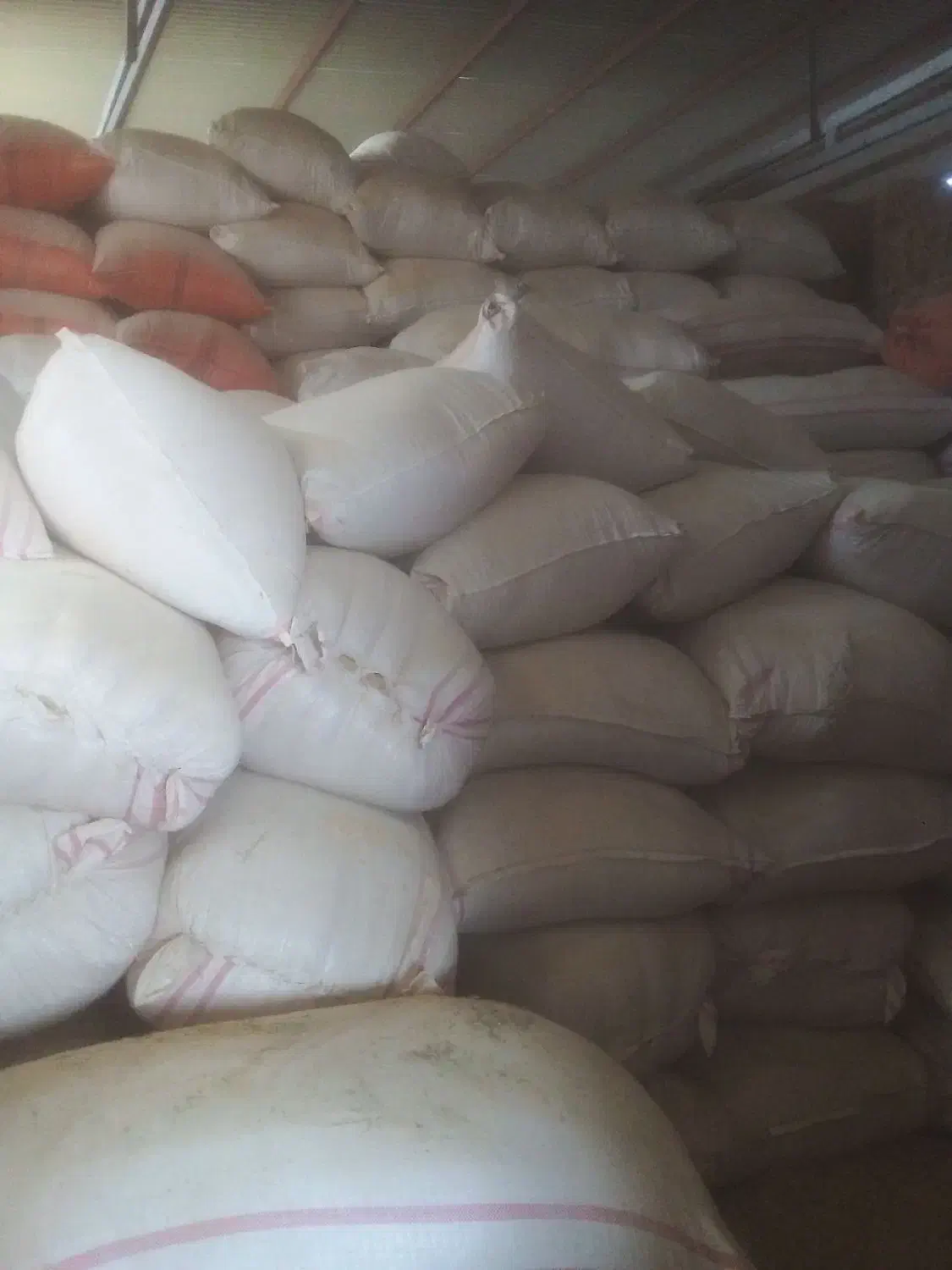 کاه گندم وکاه گلزا|عمدهفروشی|امیدیه, |دیوار