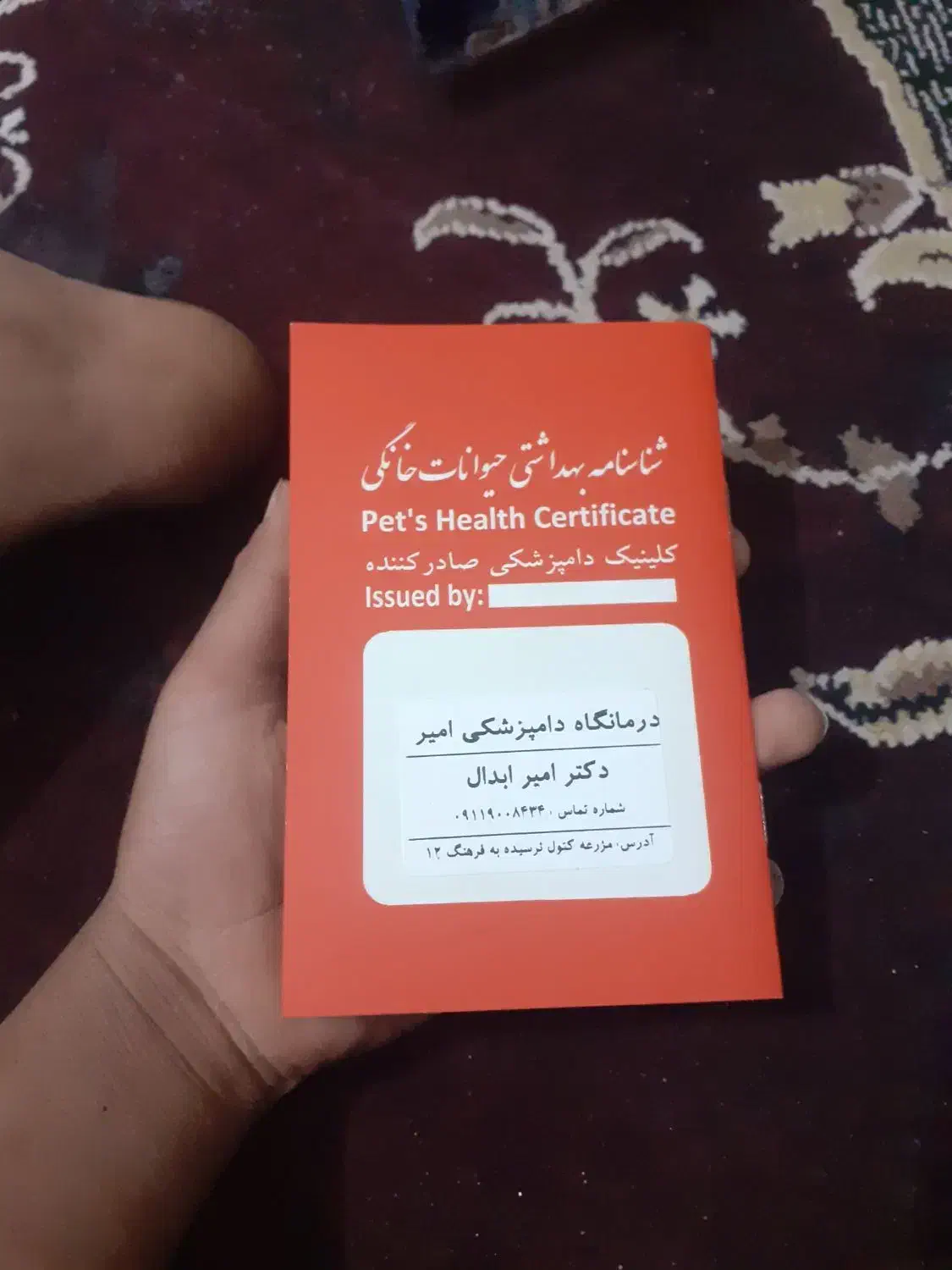 فروش سگ|سگ|مزرعه کتول, |دیوار