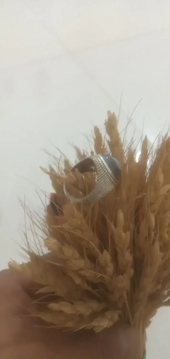 باباقوری نو|جواهرات|تهران, مسعودیه|دیوار