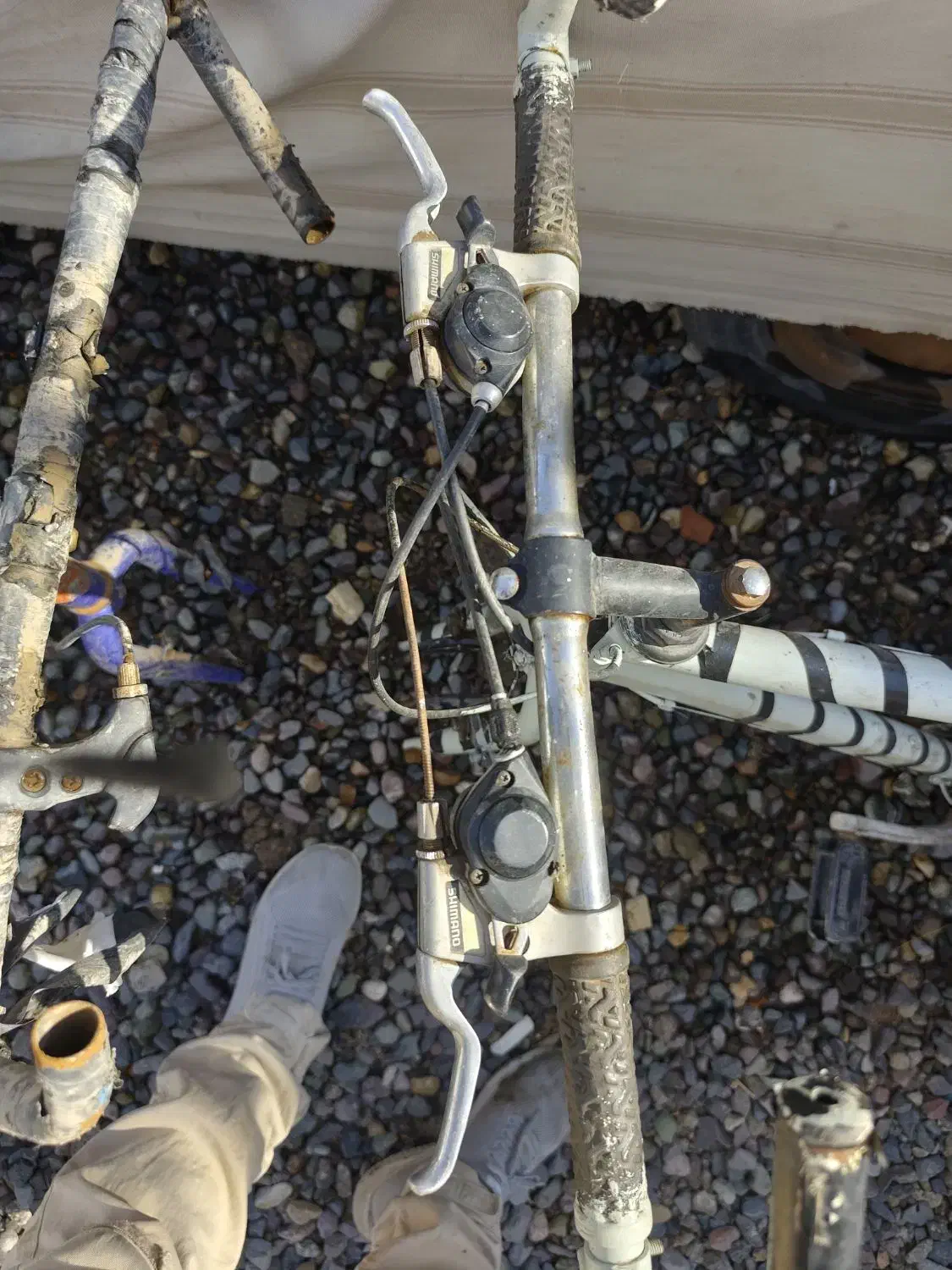 دوچرخه شیمانو|دوچرخه، اسکیت، اسکوتر|رفسنجان, |دیوار