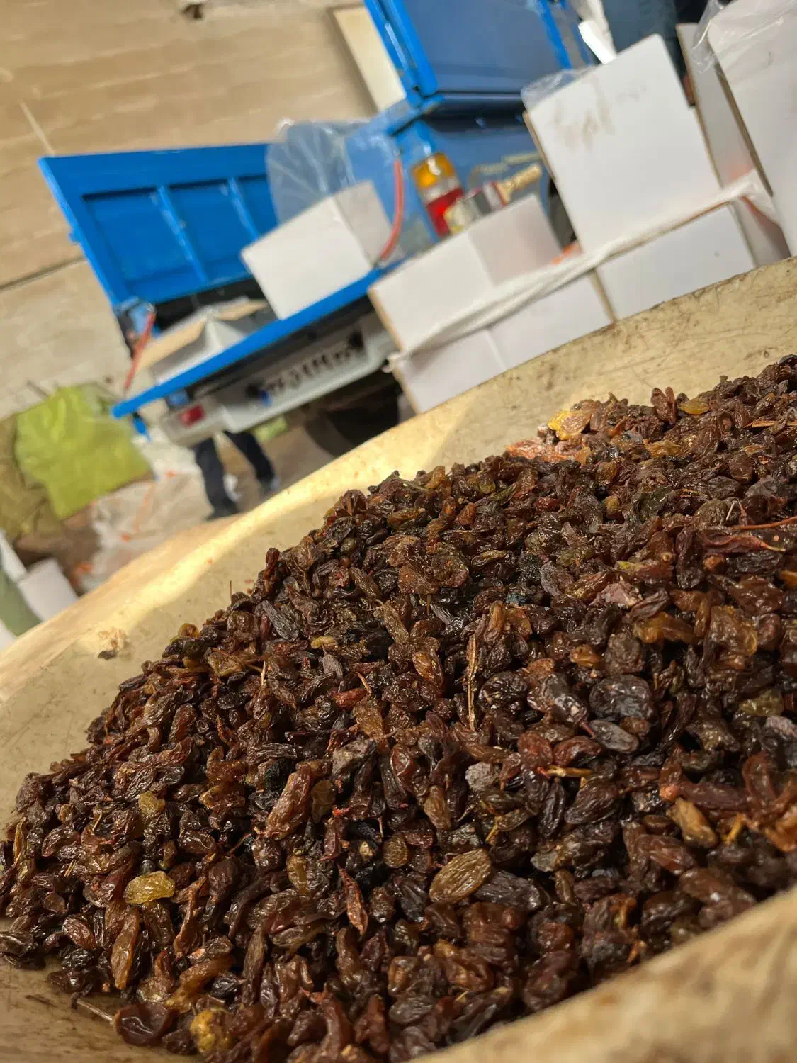 کشمش تاک|خوردنی و آشامیدنی|کاشمر, |دیوار