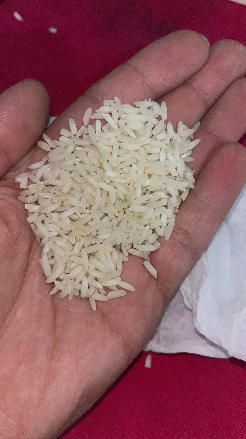 برنج علی کاظمی درجه یک مستقیم ازکشاورزمزارع گیلان|خوردنی و آشامیدنی|تهران, ونک|دیوار