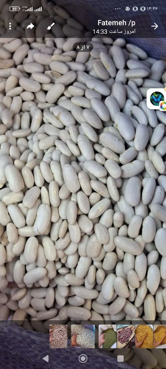 ارزان سرای ،پخش حبوبات|خوردنی و آشامیدنی|تهران, حسن‌آباد|دیوار