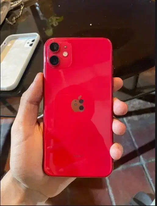 گوشی|فعالیت داوطلبانه تحقیقاتی|رشت, لاکان|دیوار