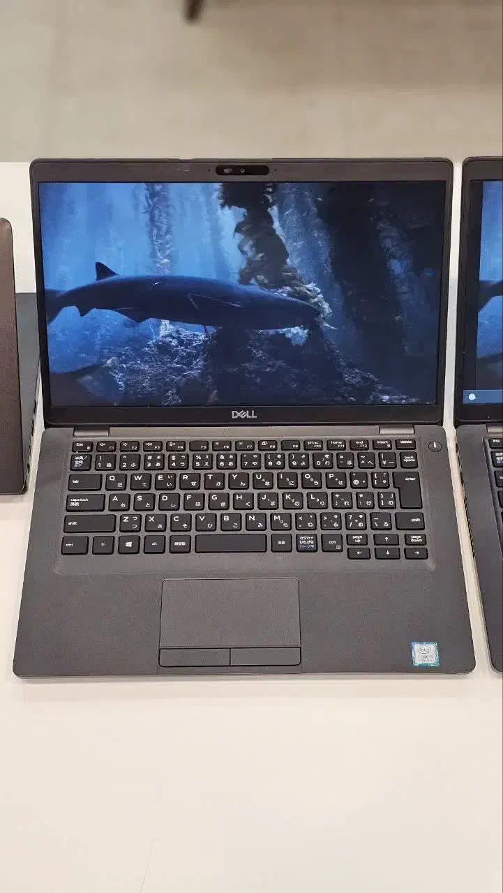 دِل  latitude 5300|رایانه همراه|مشهد, عامل|دیوار