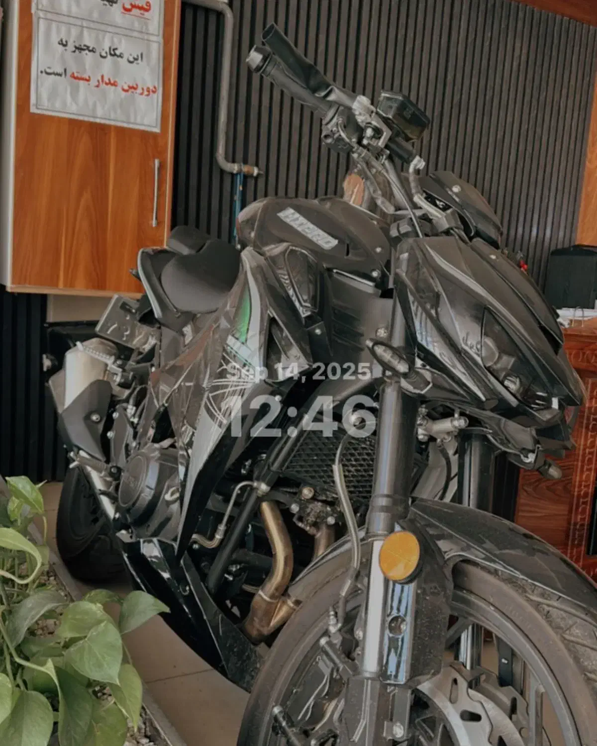 طرحz1000 های پرو فول ترین تولید این مدل|موتورسیکلت|اشتهارد, |دیوار