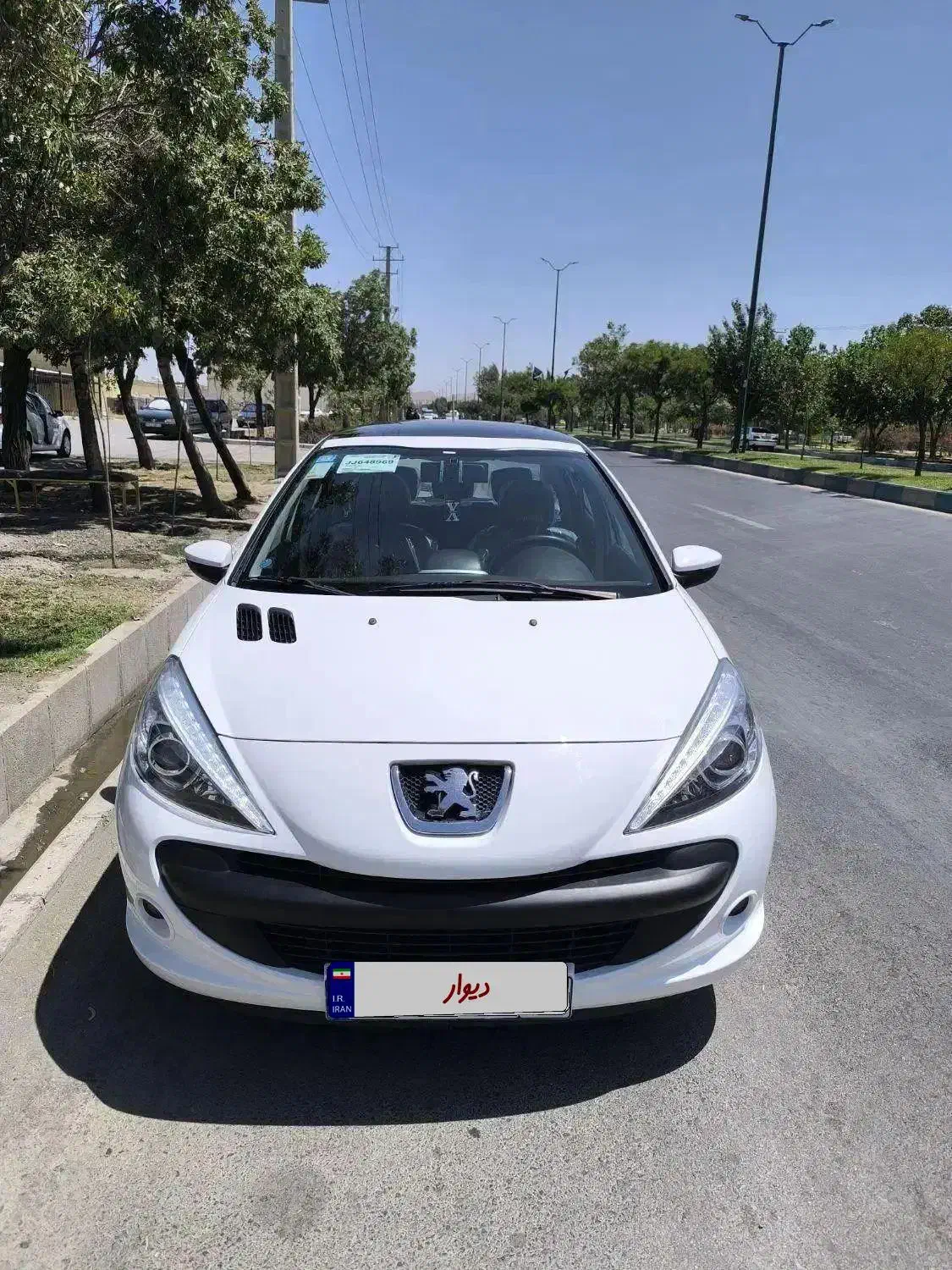 ۲۰۷ پانا ۴۰۲ بدون رنگ در حد خشک|خودرو سواری و وانت|همدان, |دیوار