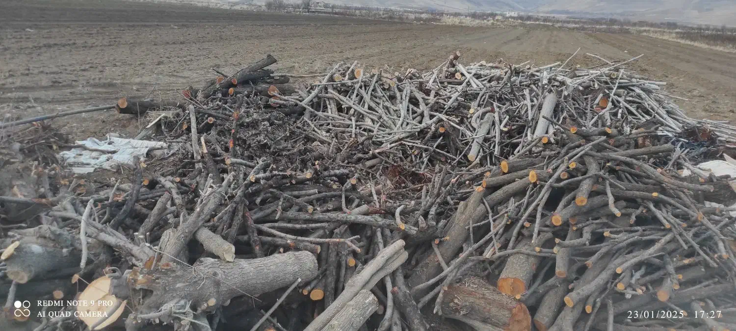 زغال کبابی|عمده‌فروشی|دینور, |دیوار