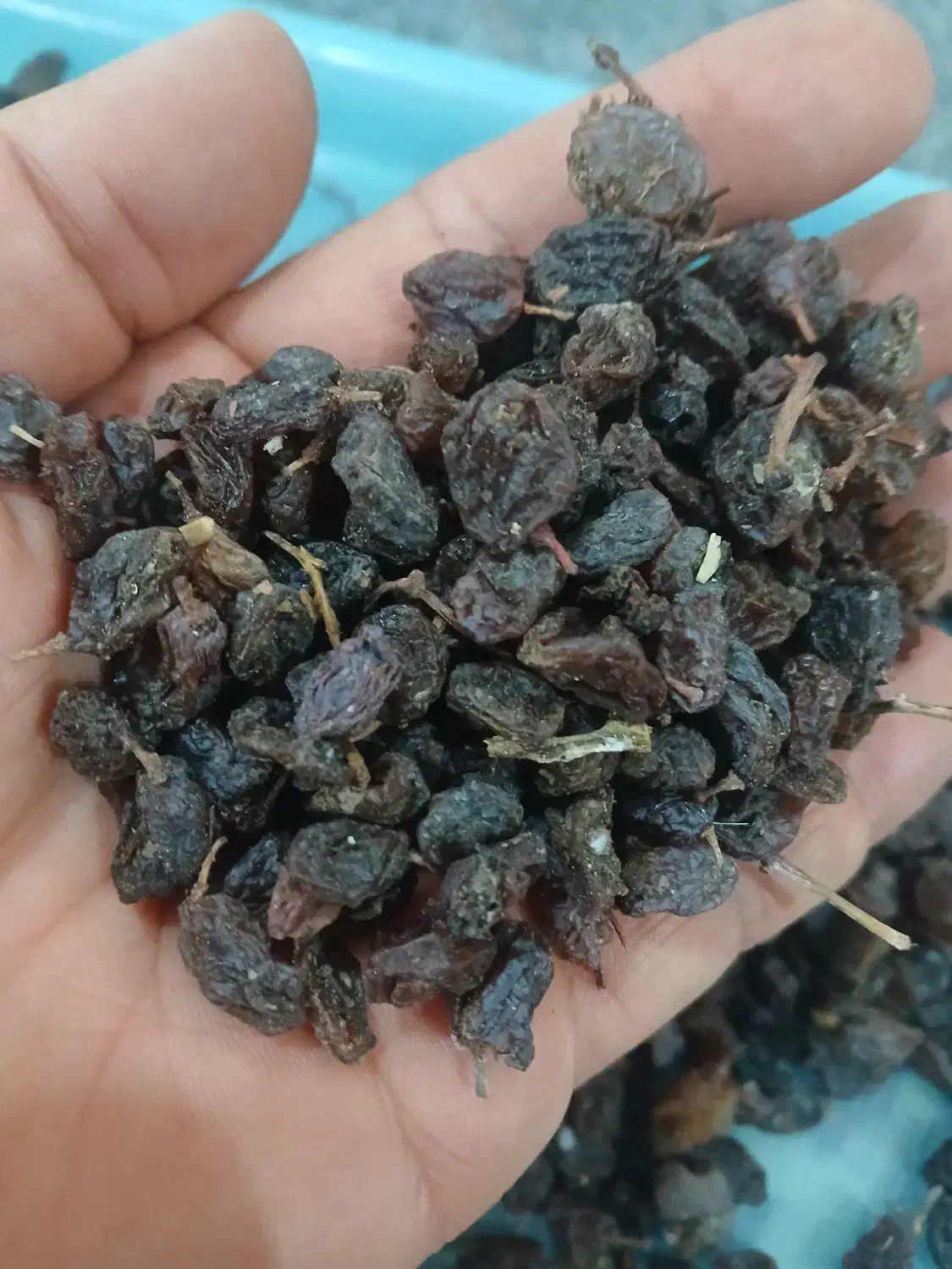 کشمش|خوردنی و آشامیدنی|بکتاش, |دیوار