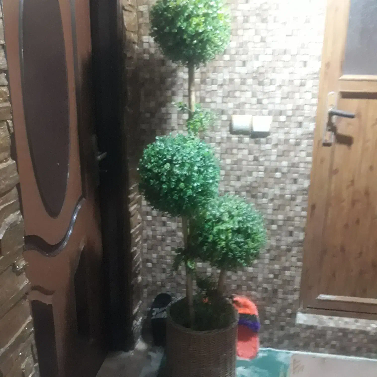 درختچه مصنوعی با گلدان حصیری|گل مصنوعی|آمل, |دیوار