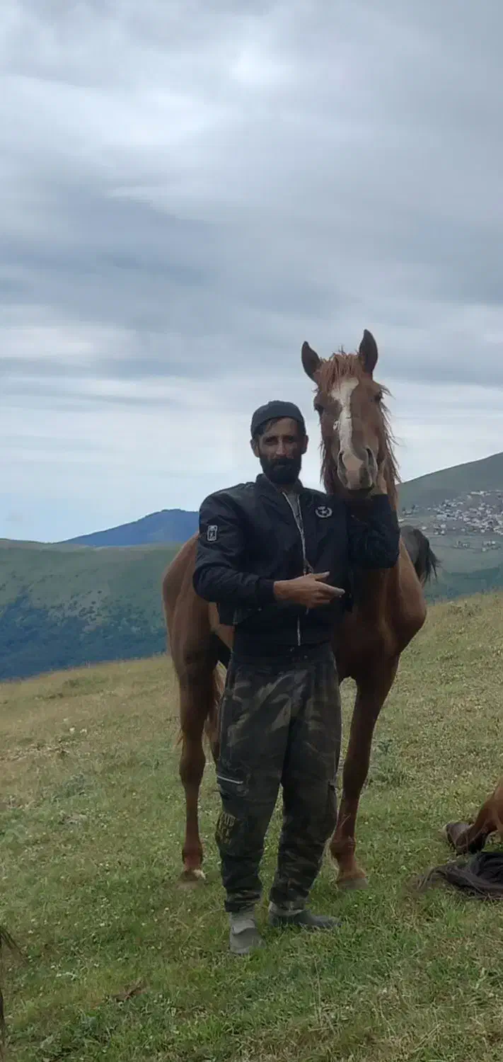 اسب کرد باری و سواری|اسب و تجهیزات اسب‌سواری|رحیم‌آباد, |دیوار