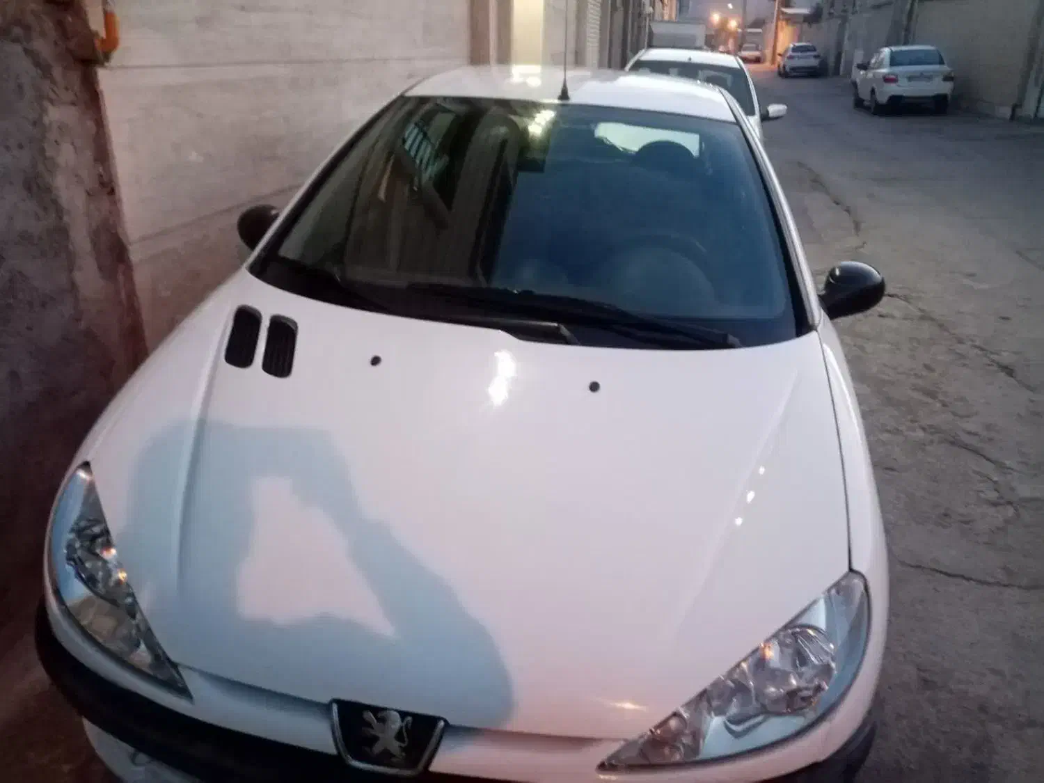 ۲۰۶ مدل ۹۶ تیپ ۲|خودرو سواری و وانت|مهریز, |دیوار