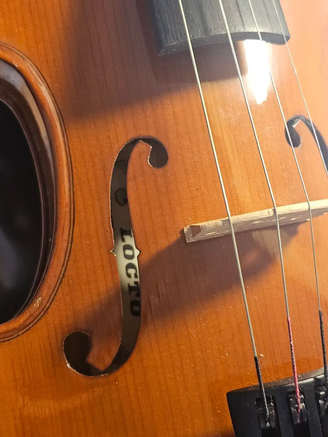 ویلن برند locato اورجینال|ویولن|تهران, اکباتان|دیوار