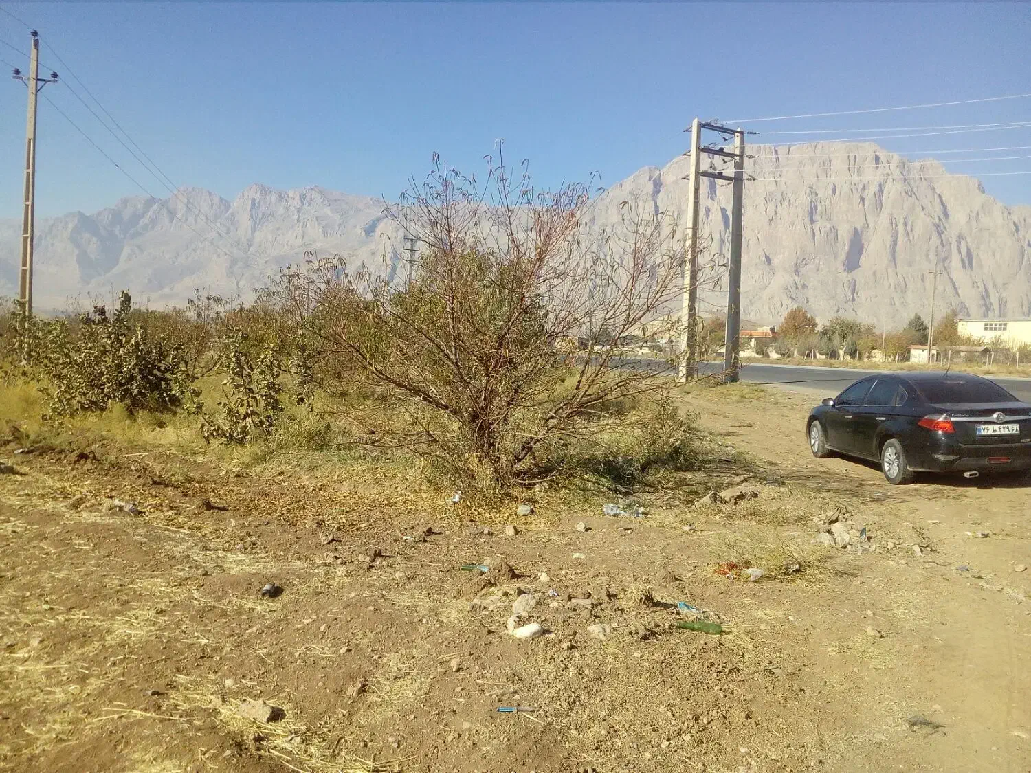 باغ گردو ومیوه پل چهر روبروی باربری نوروزی|فروش دفتر صنعتی، کشاورزی، تجاری|بیستون, |دیوار