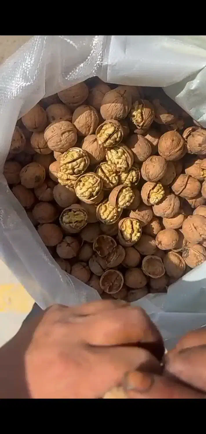 گردو پوست کاغذی،قیمت از ۲۵۰تا ۵۵۰|خوردنی و آشامیدنی|نجف‌آباد, گلدشت|دیوار