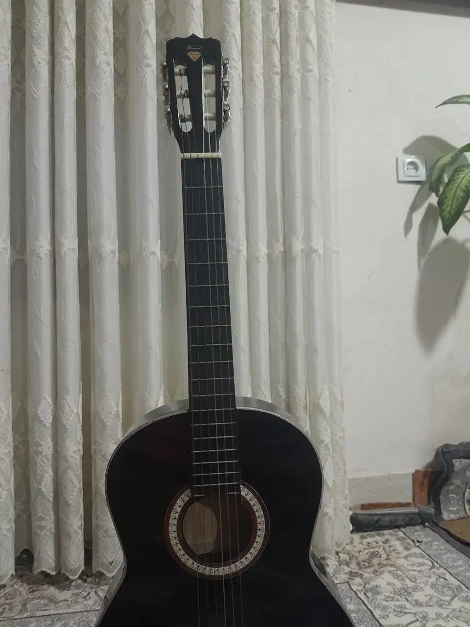 گیتار|گیتار، بیس، امپلیفایر|کوه چنار, |دیوار