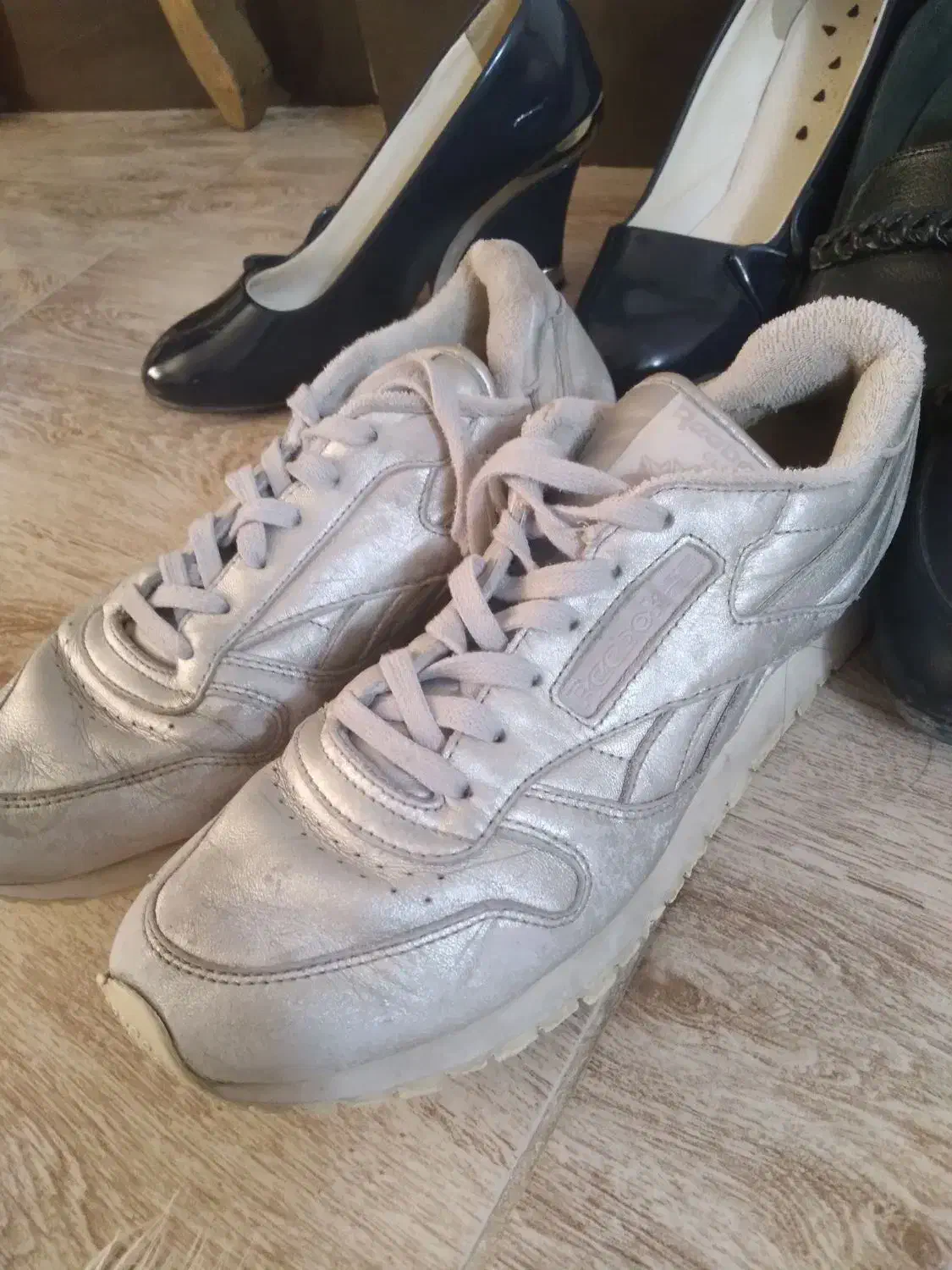 کفش|کیف، کفش، کمربند|شاهرود, |دیوار