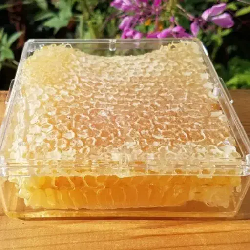 عسل گون دالاهو|خوردنی و آشامیدنی|گهواره, |دیوار