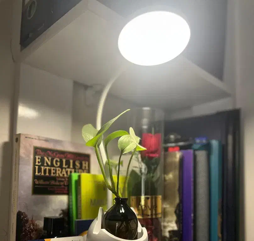 جذب مدرس زبان|استخدام آموزشی|پاکدشت, پاکدشت (مامازند)|دیوار