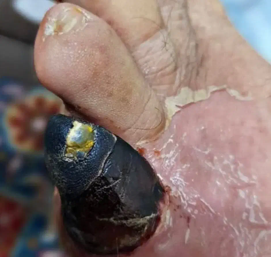 زندگی با طعم سلامتی|فعالیت داوطلبانه|اردبیل, |دیوار