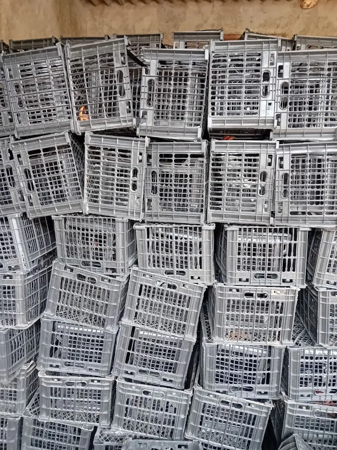 سبد گوجه|ظروف نگهدارنده، پلاستیکی، یک‌بارمصرف|سملقان, |دیوار