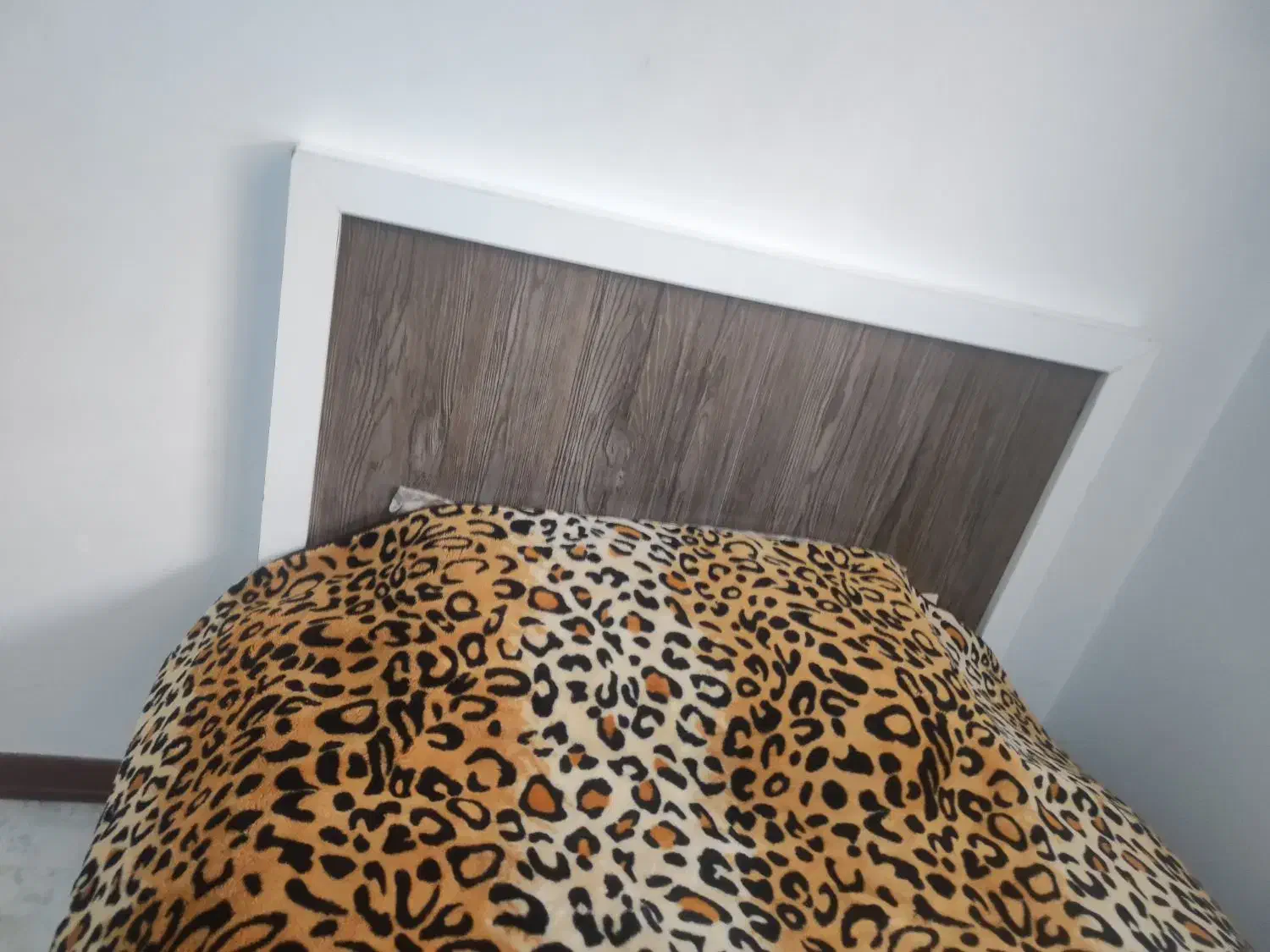 تخت، کتابخانه ،پایتختی|کتابخانه، شلف، قفسههای دیواری|گلبهار, شهر جدید گلبهار|دیوار