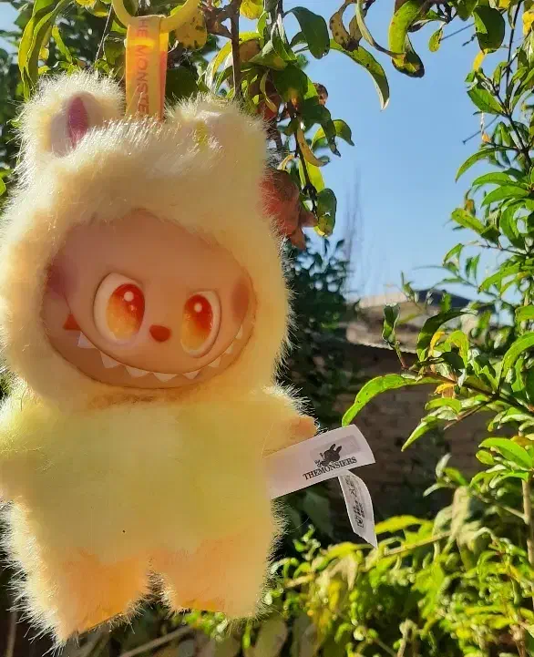 لبوبو خوشگل ، نو و بسیار جذاب|اسباببازی|قائمشهر, |دیوار