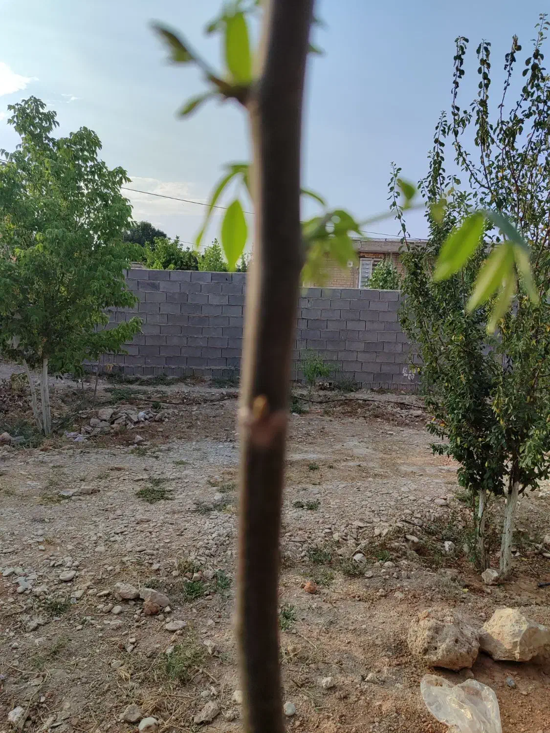 منزل  ویلایی دوخوابه|اجارهٔ خانه و ویلا|ارژن, |دیوار