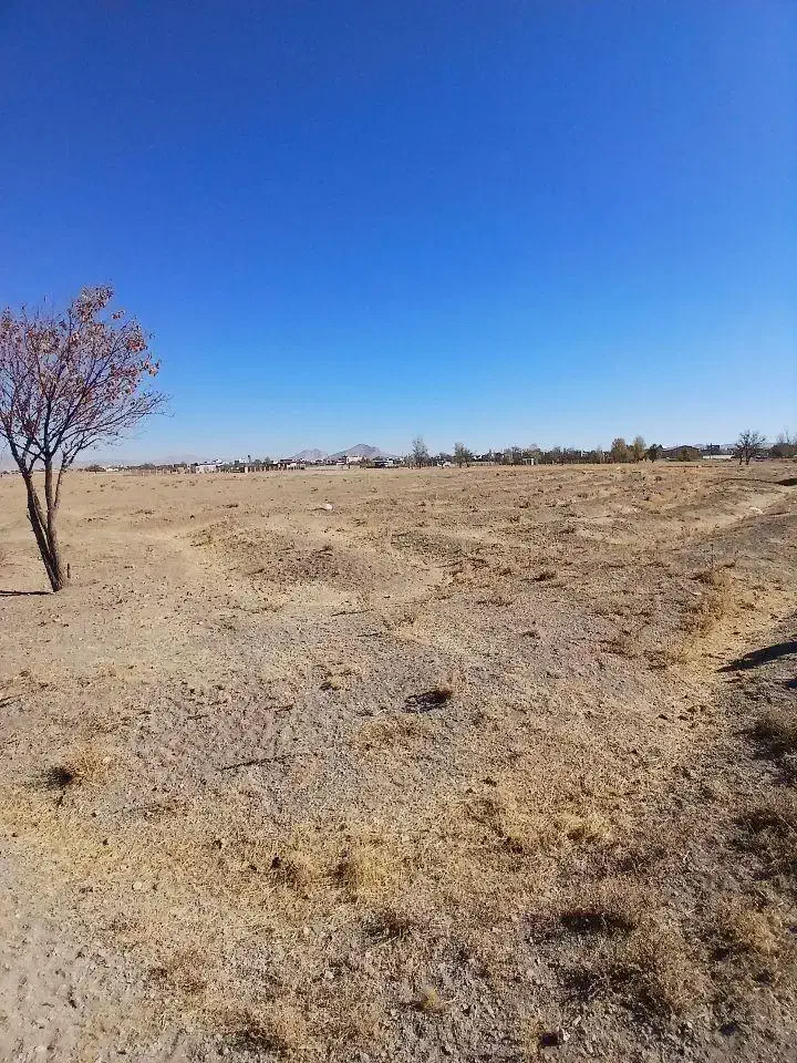 زمین|فروش زمین و ملک کلنگی|درگزین, |دیوار