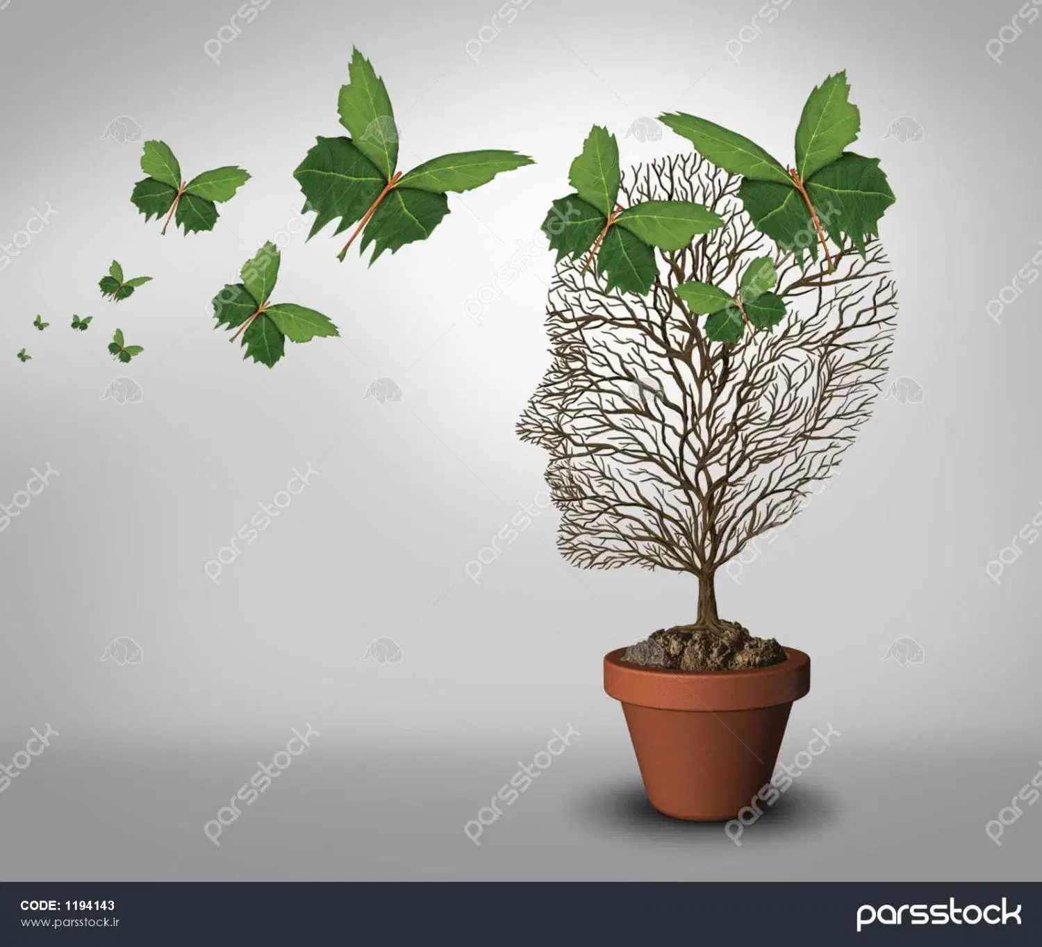 مربی اموزشی با مدرک روانشناسی و تربیت بدنی|استخدام آموزشی|زابل, |دیوار