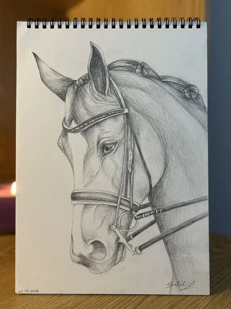 آموزش آنلاین، طراحی و نقاشی کودک و بزرگسال|خدمات آموزشی|سرپل ذهاب, |دیوار