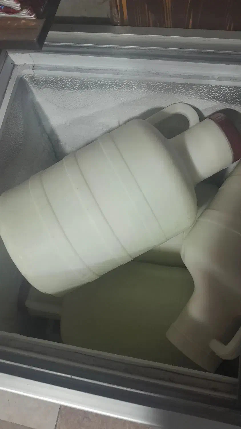 فروش شیر گامیش|خوردنی و آشامیدنی|کارون, |دیوار