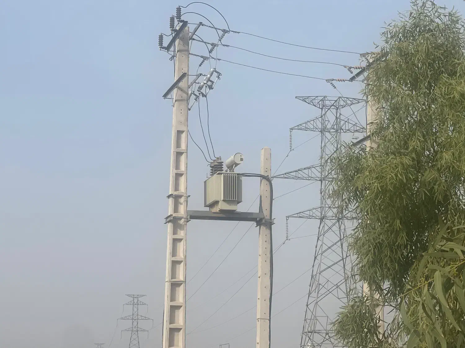 زمین گلخانه سردخانه|فروش دفتر صنعتی، کشاورزی، تجاری|عنبرآباد, |دیوار