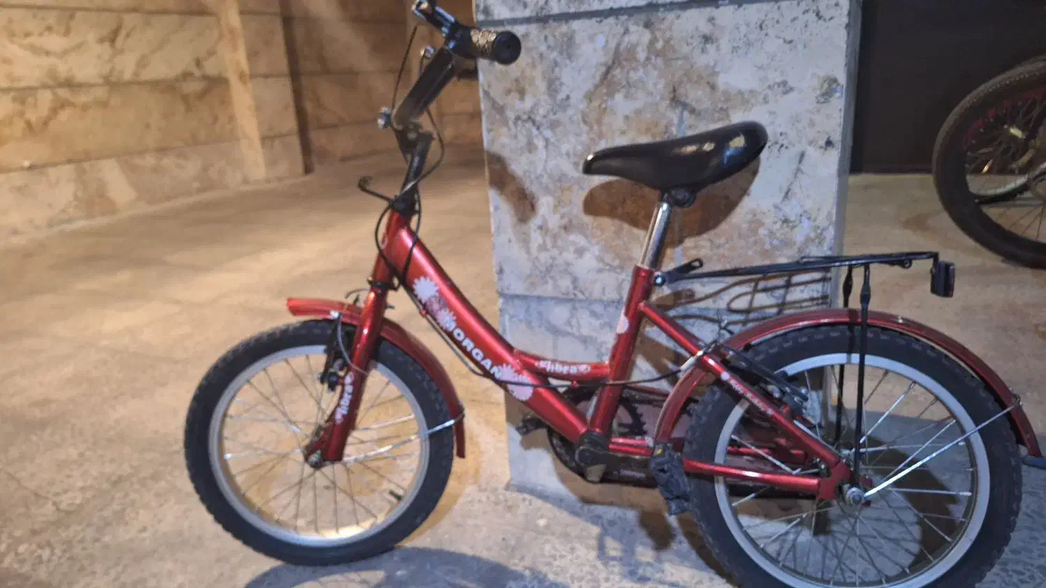 دوچرخه|دوچرخه، اسکیت، اسکوتر|شیراز, فرهنگ شهر|دیوار