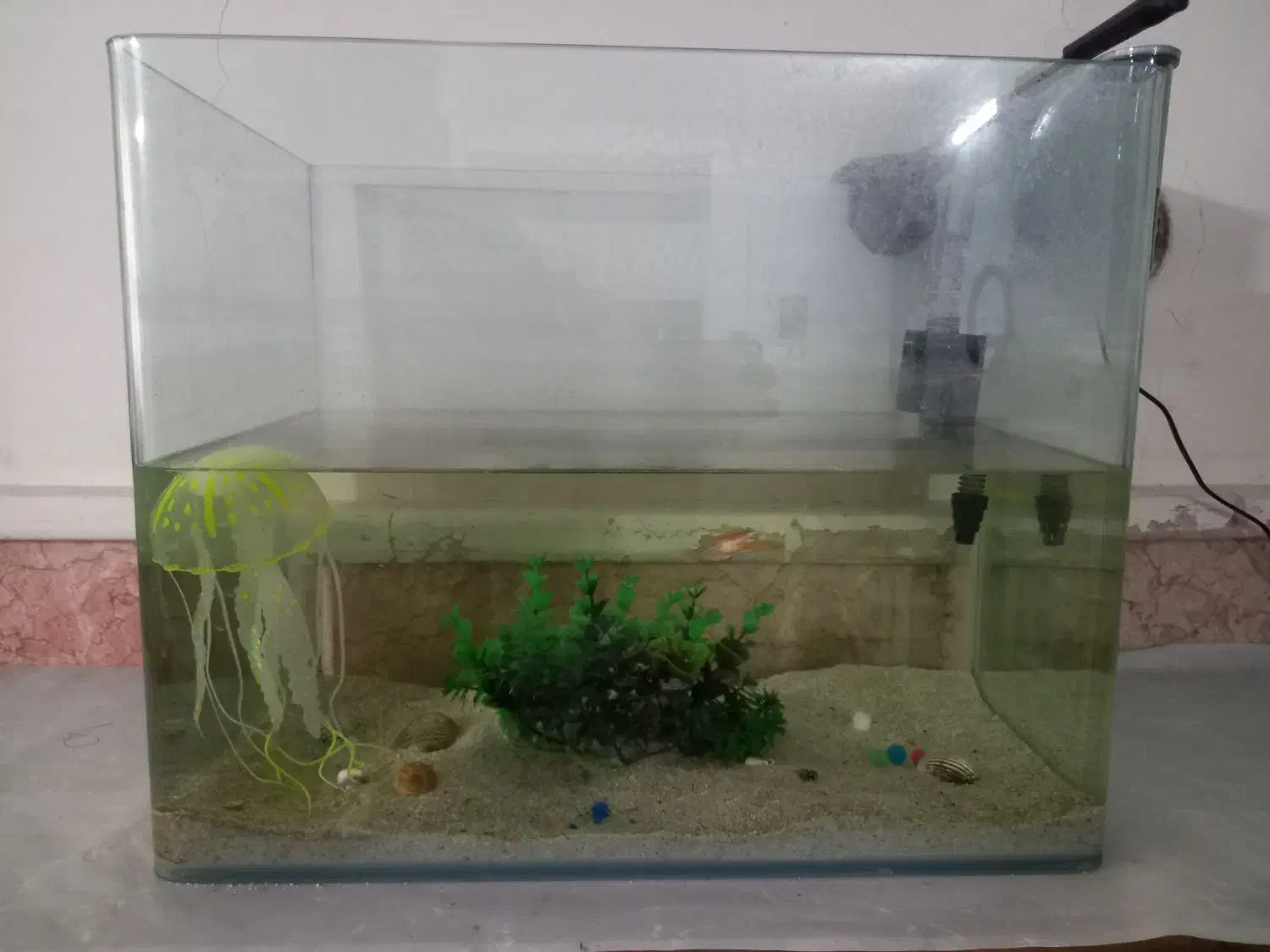 آکواریوم شیشه خم|ماهی|مشهد, کوی سیدی|دیوار
