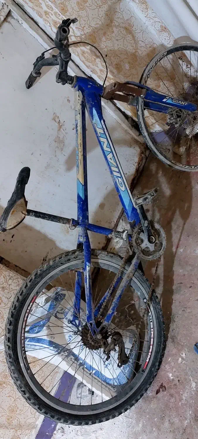 دوچرخه 26|دوچرخه، اسکیت، اسکوتر|اهواز, کمپلو شمالی|دیوار