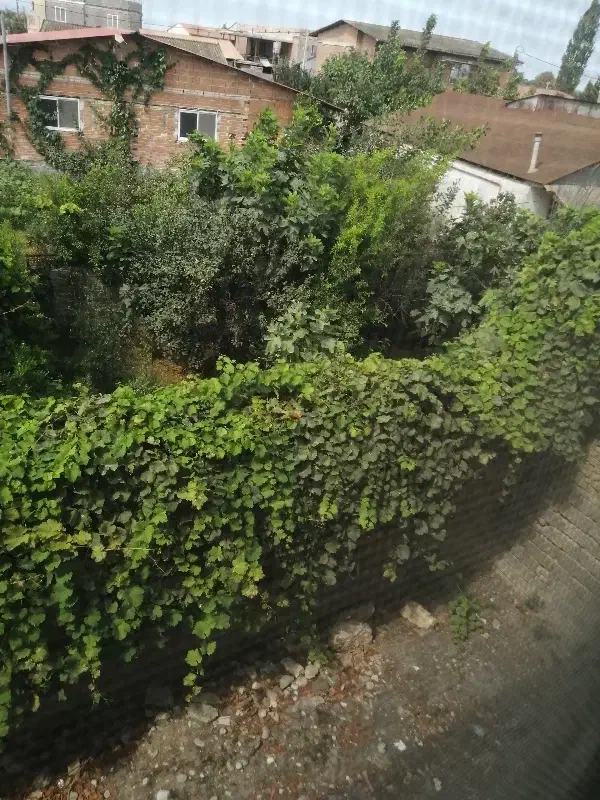 زمین خانه سرا|فروش زمین و ملک کلنگی|طبقده, |دیوار