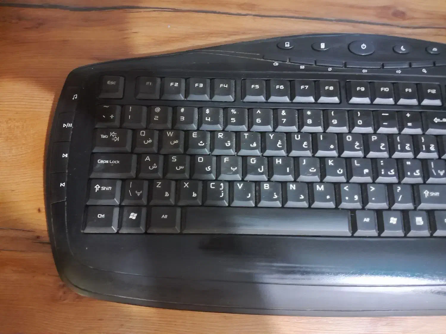 کیبورد|گل و گیاه طبیعی|کرج, برغان|دیوار