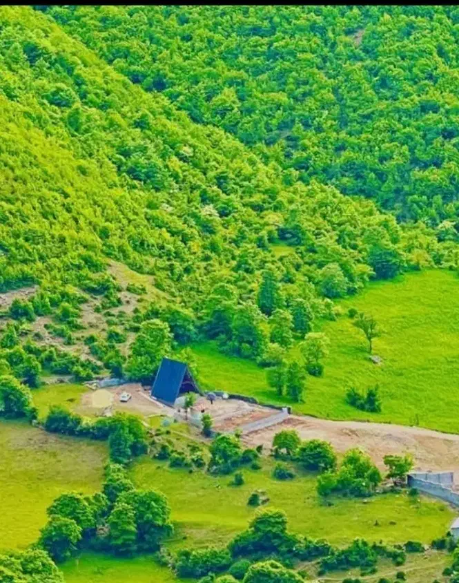 راهنمایی کنید لطفا|فعالیت داوطلبانه|رویان, |دیوار