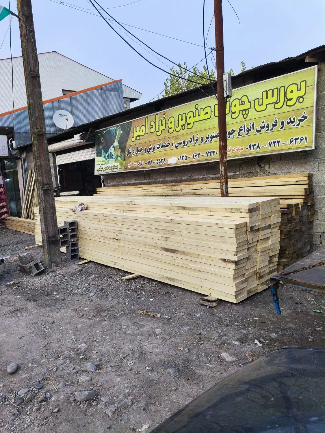 درخت صنوبر|خدمات پیشه و مهارت|آستانه اشرفیه, |دیوار