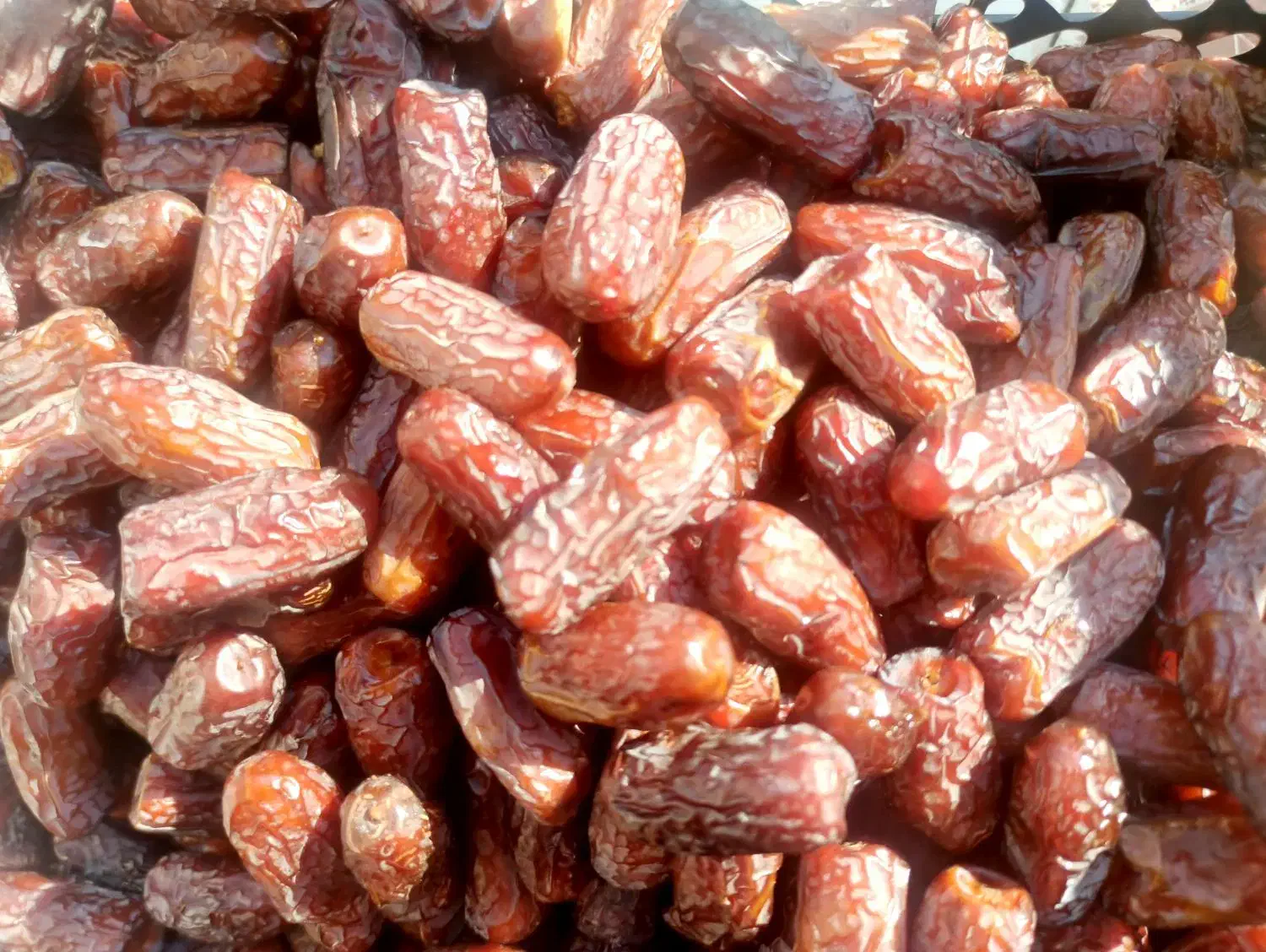 خرمای آجیلی پیارم|خوردنی و آشامیدنی|لامرد, |دیوار