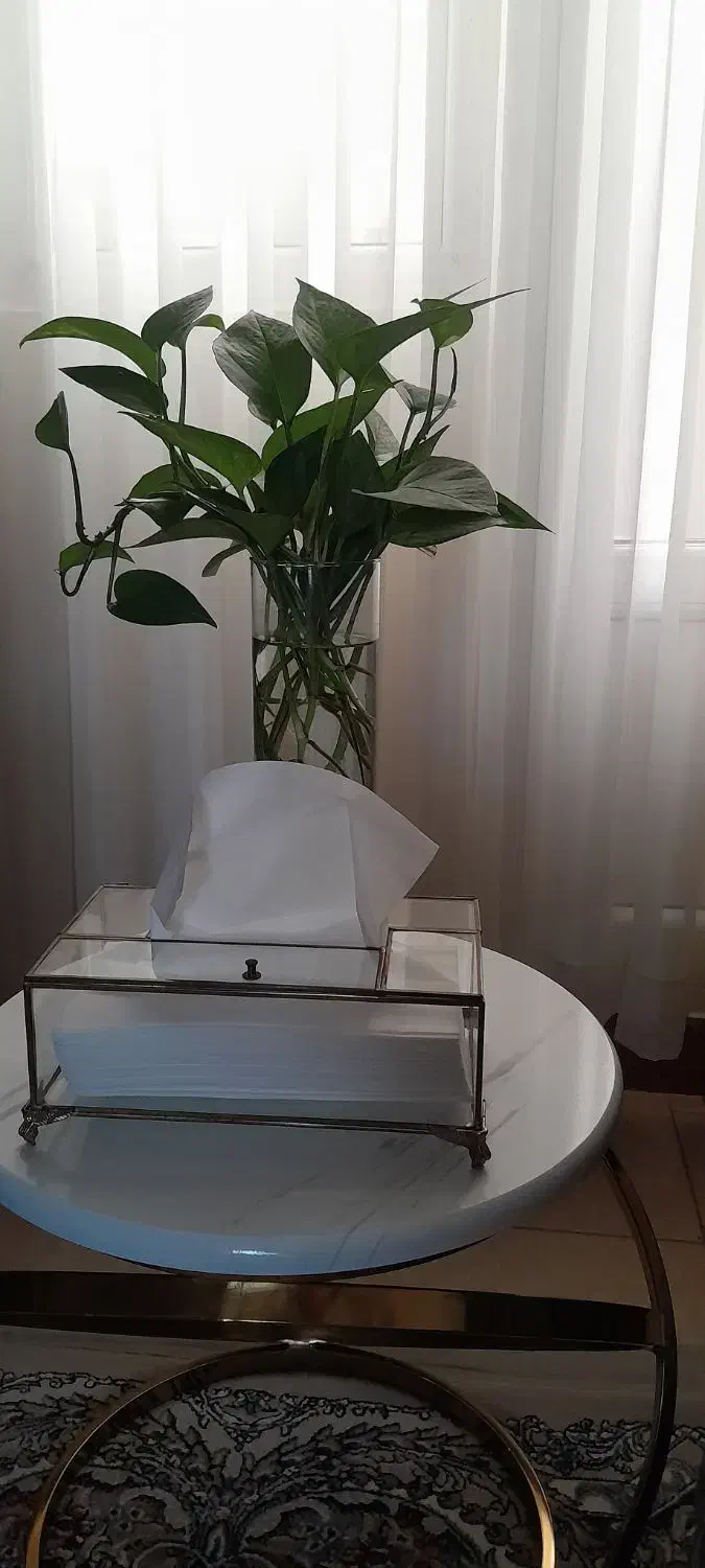 سینی پذایرایی|ظروف سرو و پذیرایی|فردیس, دهکده|دیوار