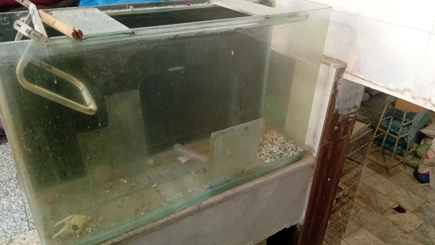 اکواریوم با لوازم کامل|ماهی|کرج, ساماندهی|دیوار