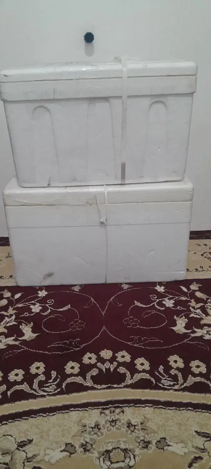 اکاسیف نو|ظروف نگهدارنده، پلاستیکی، یک‌بارمصرف|نیشابور, شریعتی|دیوار