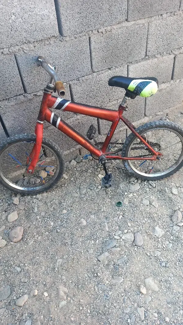 دوچرخه سایز۱۶|دوچرخه، اسکیت، اسکوتر|جیرفت, |دیوار