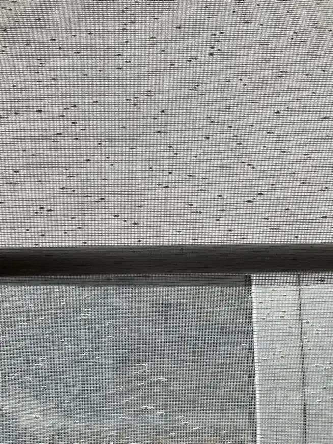 پرده دابل شید نو|پرده، رانر، رومیزی|اراک, |دیوار