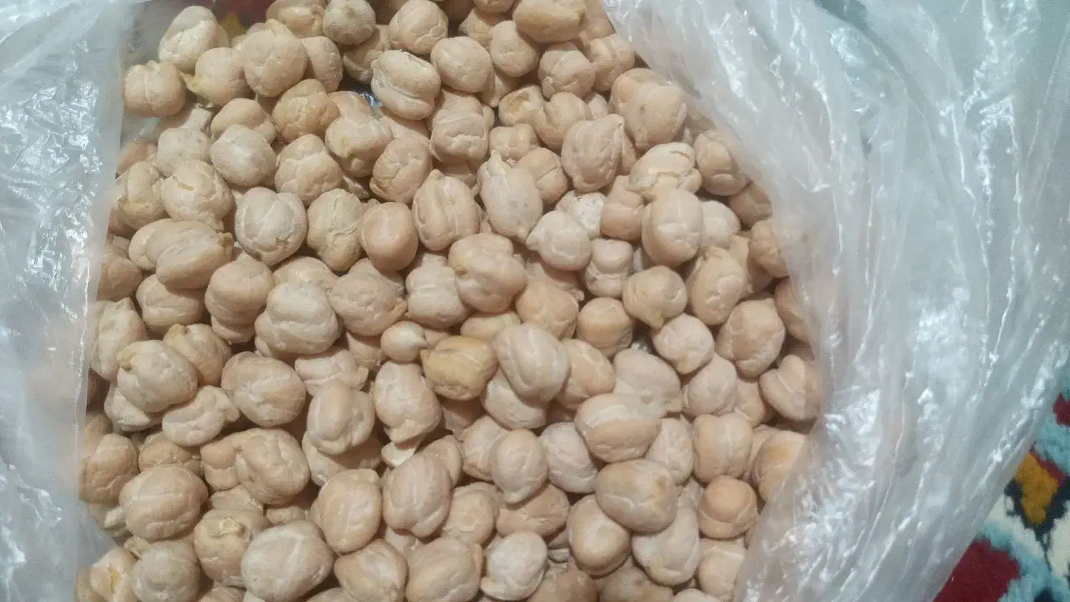 سلام ۵کیسه نخود درجه یک|خوردنی و آشامیدنی|باوله, |دیوار