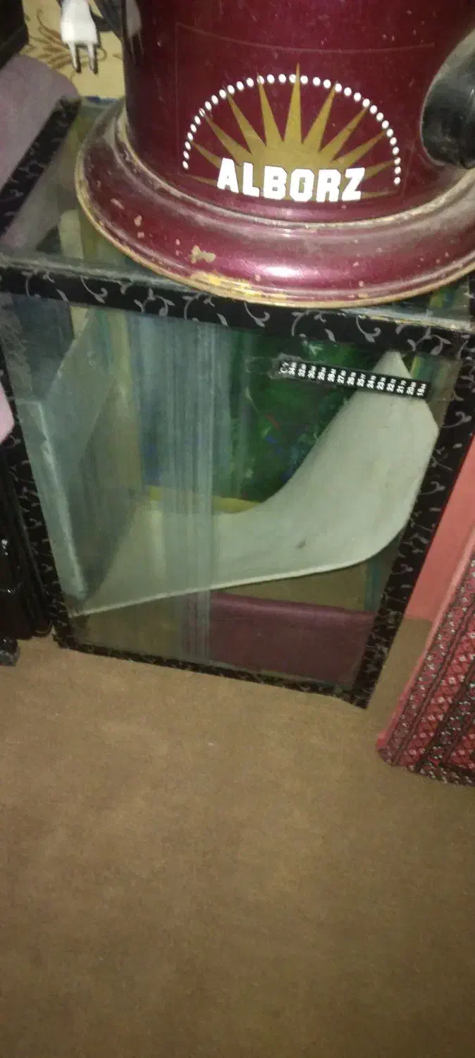 آکواریوم|ماهی|محمدیه-قزوین, |دیوار